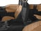2017 Ford F-150 Base