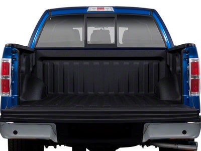 2010 Ford F-150 Base