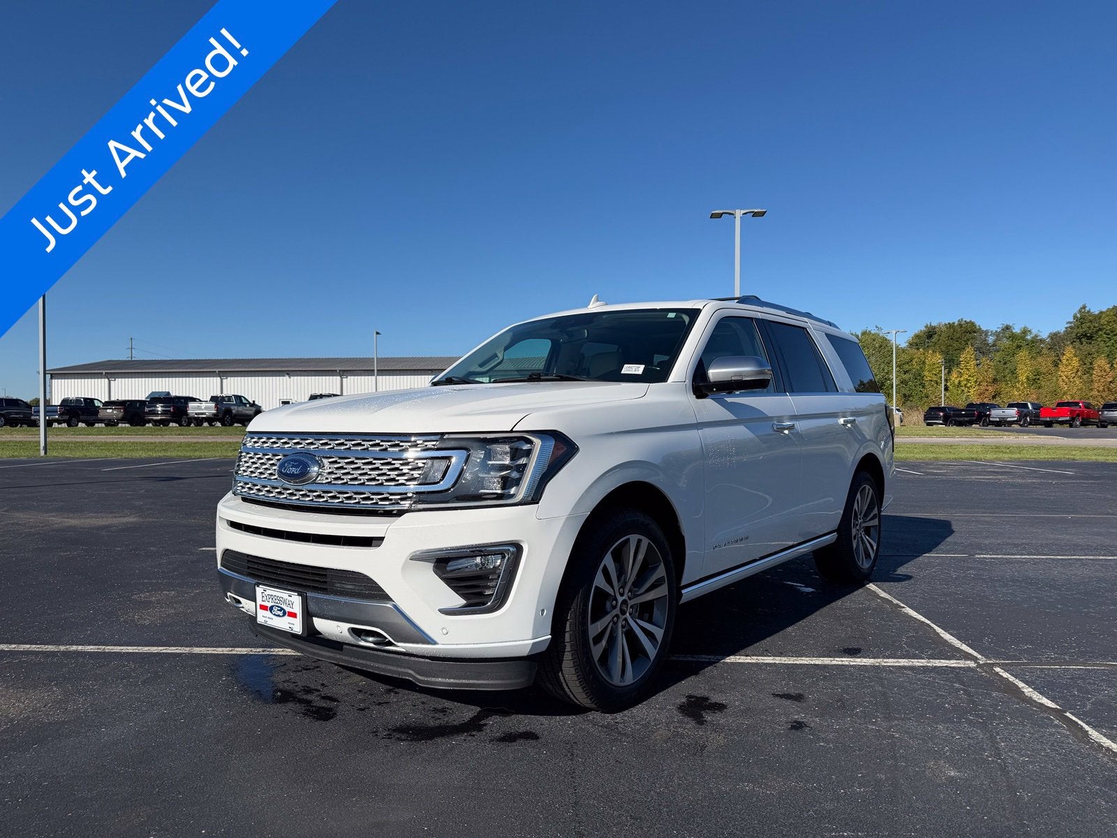 2020 Ford Expedition Platinum