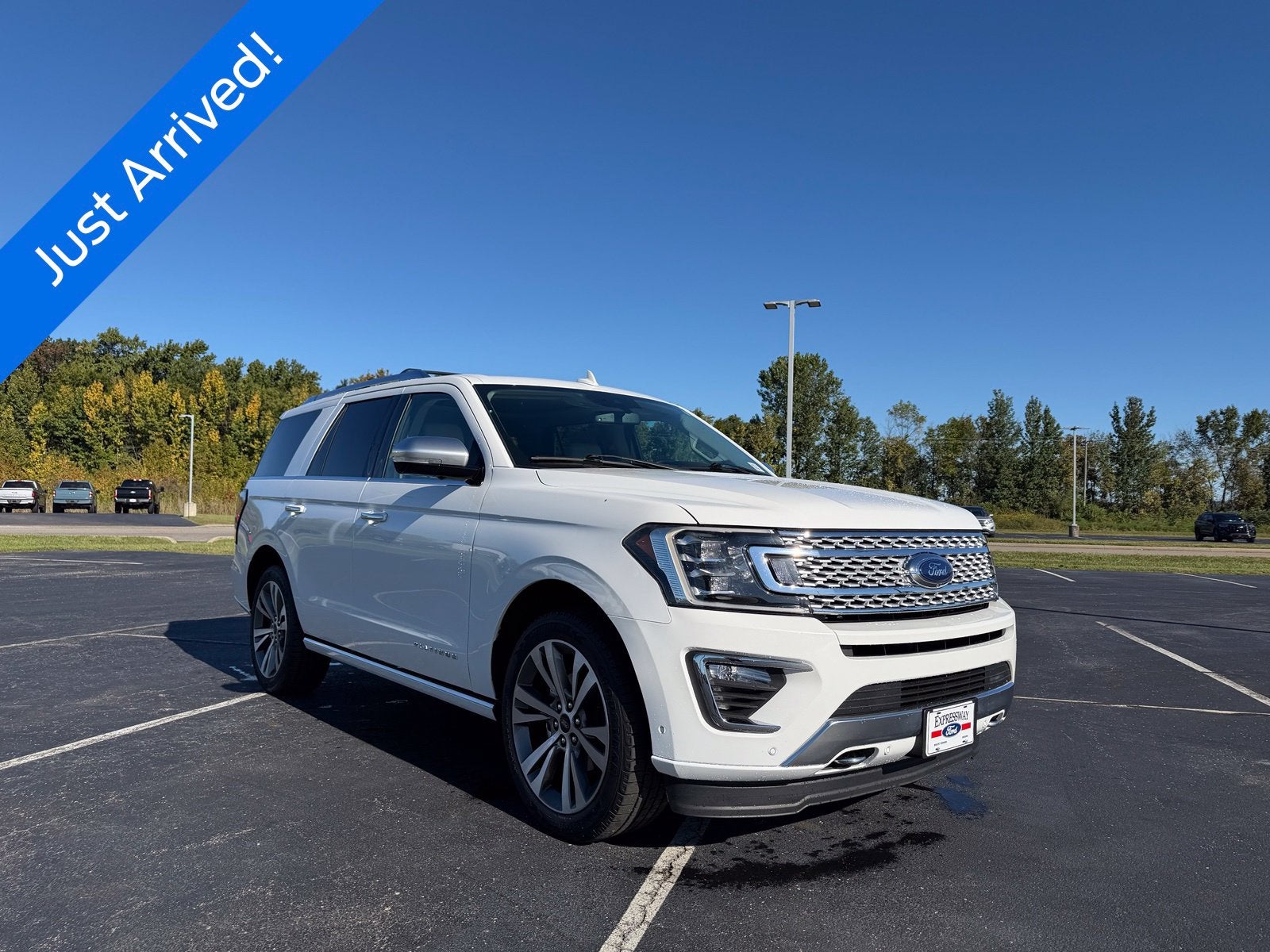 2020 Ford Expedition Platinum