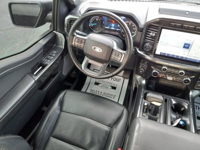 2023 Ford F-150 XL 4WD SuperCrew 5.5' Box